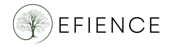 Efience logo